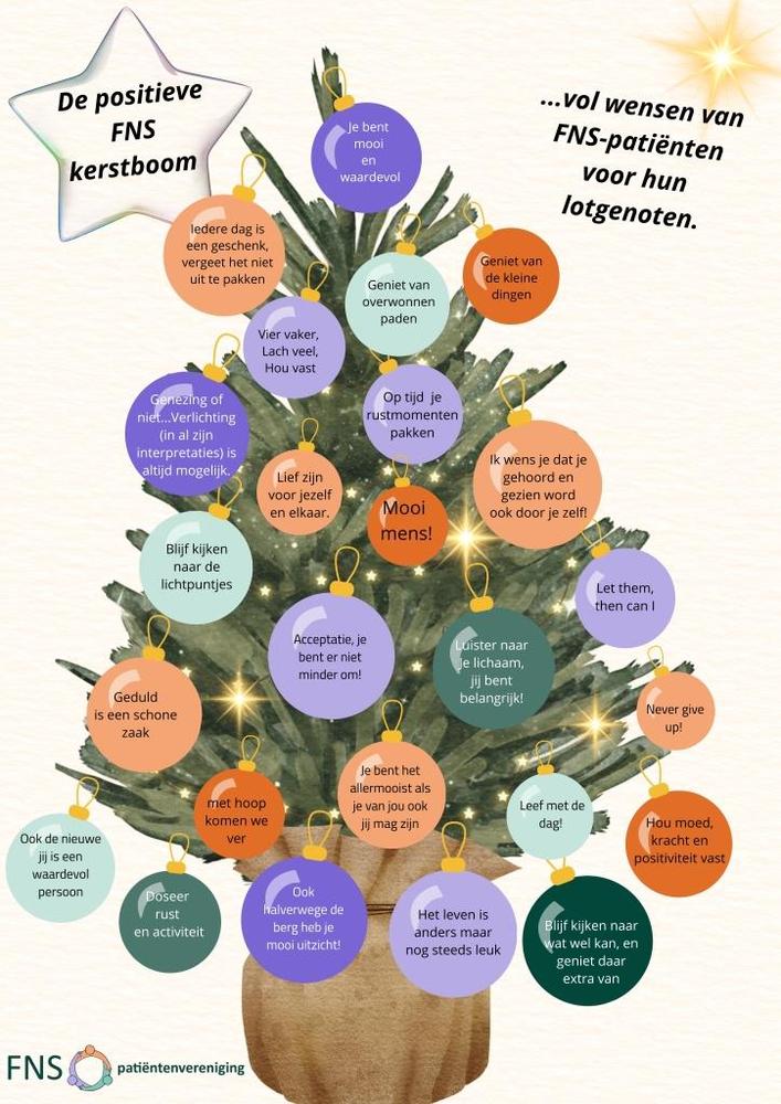 FNS-Kerstboom