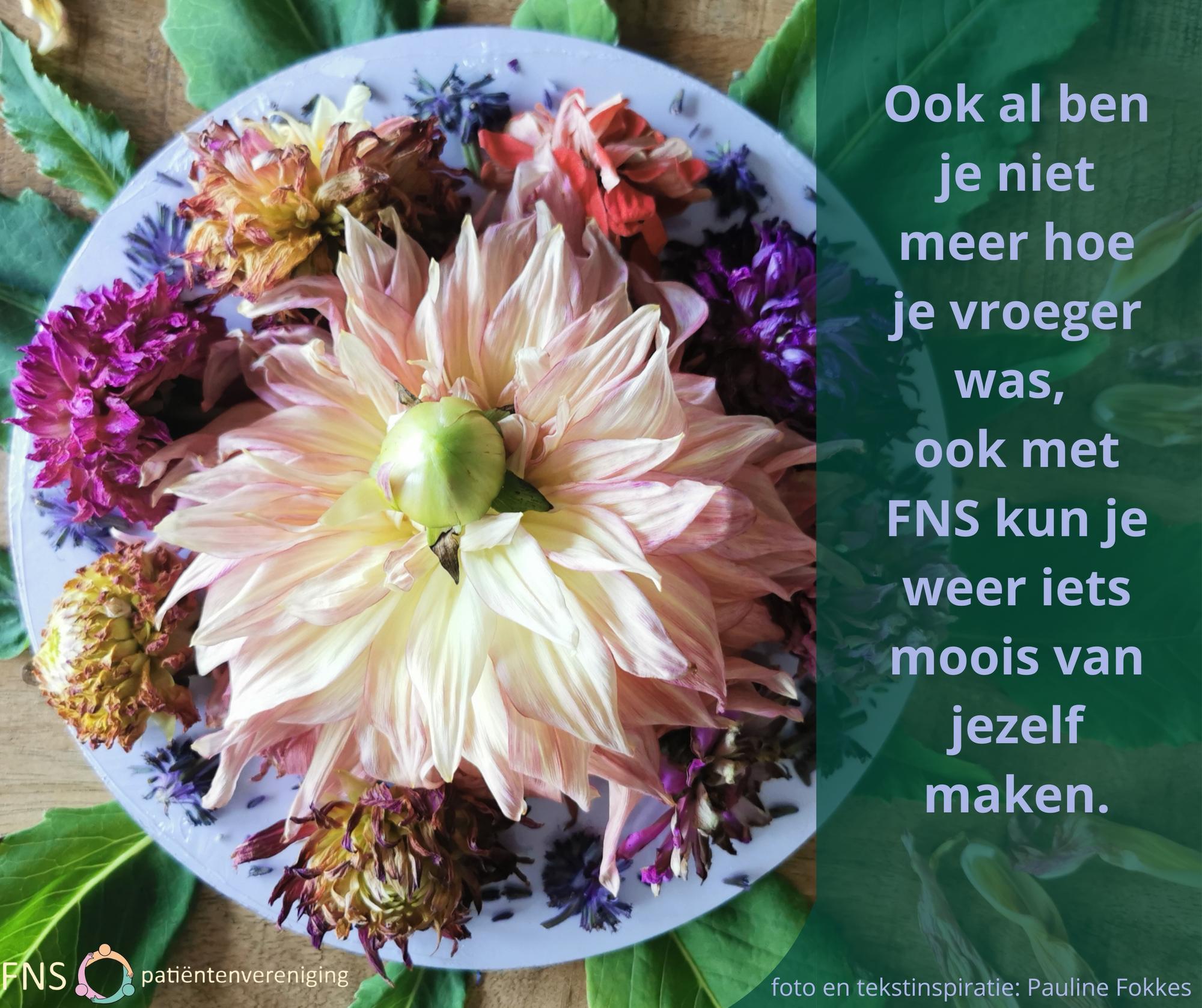 Bloemenzee als verjaardagskado