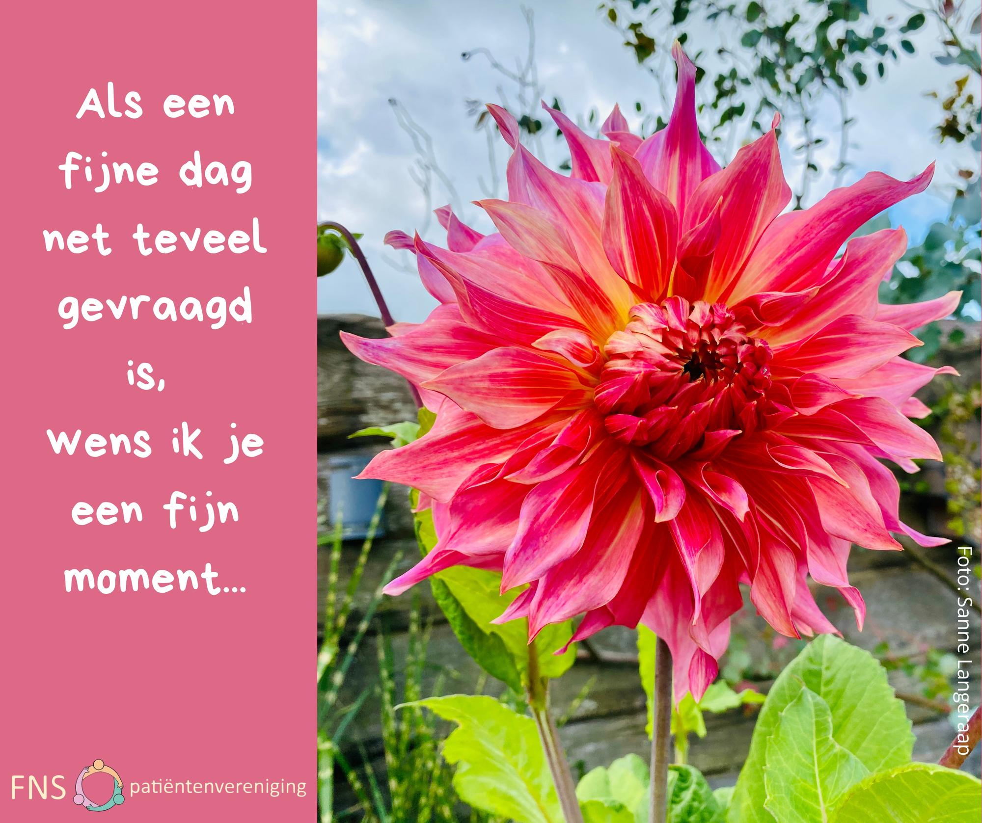 Bloemenzee als verjaardagskado
