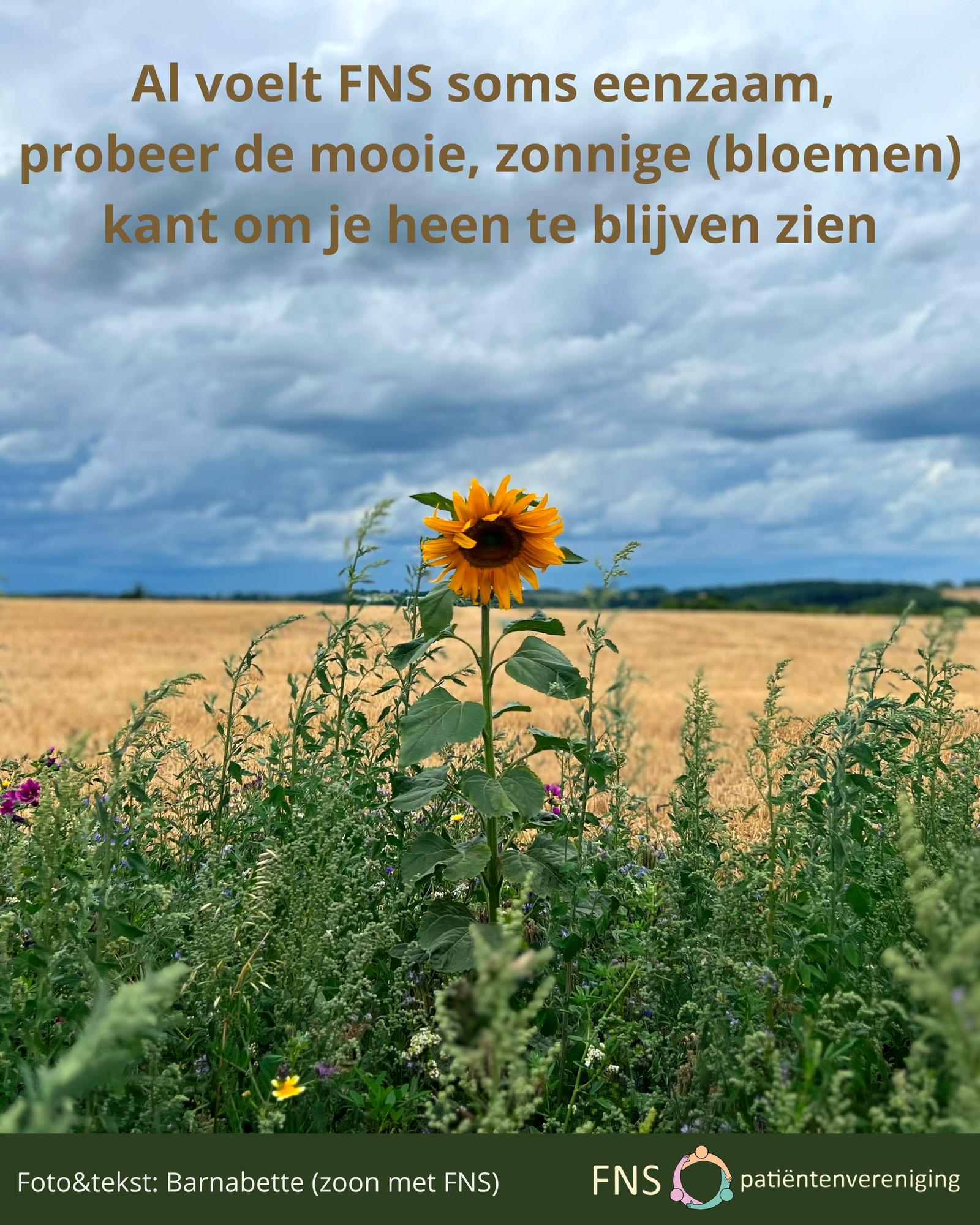 Bloemenzee als verjaardagskado